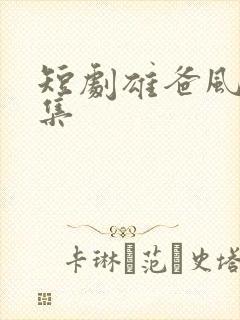 短剧雄爸风云全集