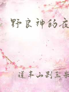 野良神的夜斗