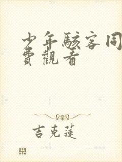 少年骇客同人免费观看