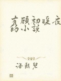 有顾初暖夜景寒的小说