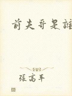 前夫哥是谁