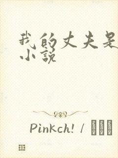 我的丈夫是条狗小说