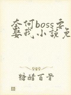 奈何boss要娶我小说免费