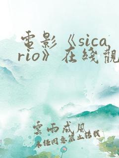 电影《sicario》在线观看