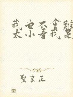 我也不会难过别太小看我是什么歌