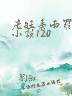 老旺秦雨罗老旺小说120