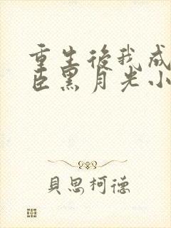 重生后我成了奸臣黑月光小说