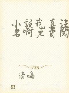 小说我真没想出名啊免费阅读