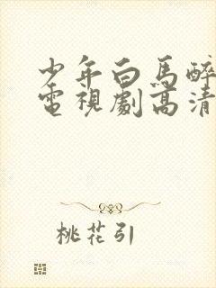 少年白马醉春风电视剧高清在线观看