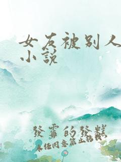 女友被别人操了小说