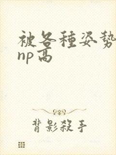 被各种姿势玩弄np高