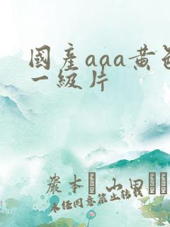 国产aaa黄色一级片