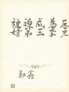 被迫成为反派赘婿第三季免费观看全集