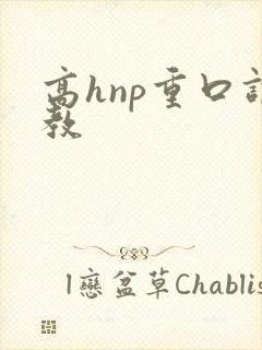 高hnp重口调教