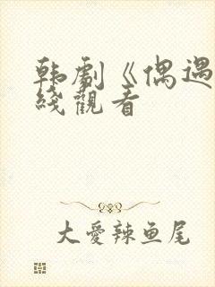 韩剧《偶遇》在线观看