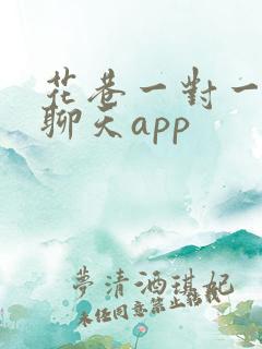 花巷一对一视频聊天app