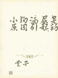 小狗滴尿是什么原因引起的