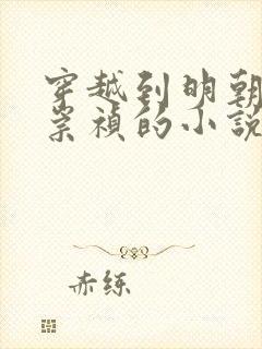 穿越到明朝成为崇祯的小说