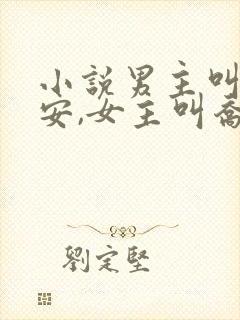 小说男主叫沈辞安,女主叫乔若兮