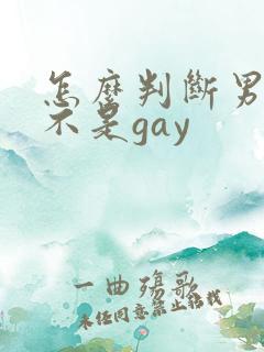 怎么判断男的是不是gay