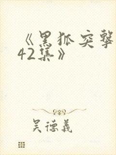 《黑狐突击队全42集》