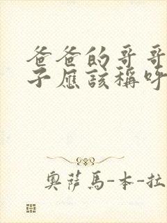 爸爸的哥哥的儿子应该称呼什么