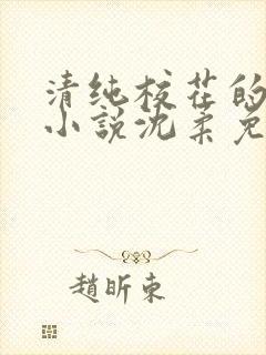 清纯校花的日常小说沈柔免费阅读