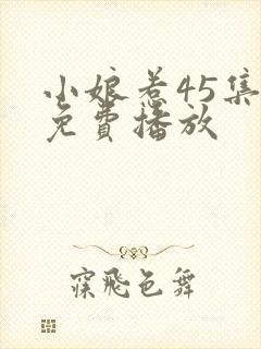 小娘惹45集全免费播放