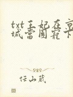 txt王妃在京城当团宠下载