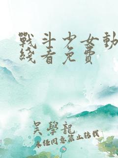 战斗少女动漫在线看免费