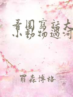 看图写话大象帮小动物过河图片