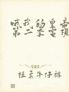 哦我的皇帝陛下第二季电视剧免费