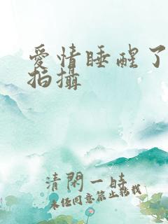 爱情睡醒了在哪拍摄