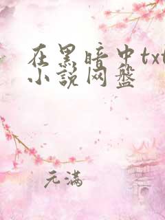 在黑暗中txt小说网盘