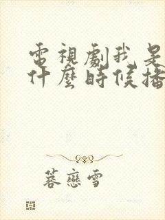 电视剧我是刑警什么时候播出