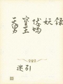 天宝伏妖录是双男主吗