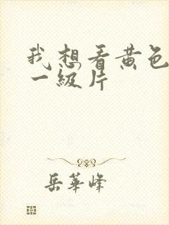 我想看黄色录像一级片