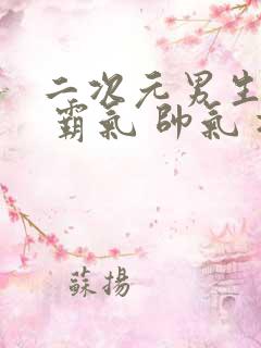 二次元男生头像 霸气 帅气 冷酷