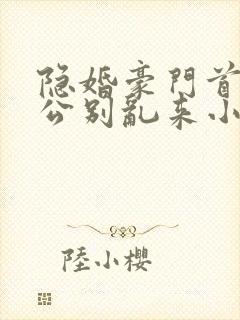 隐婚豪门首席老公别乱来小说