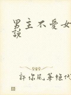 男主不爱女主小说