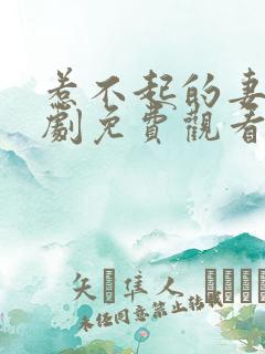 惹不起的妻子短剧免费观看