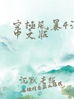 究极风暴4游戏中文版