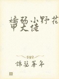 娇弱小野花是马甲大佬