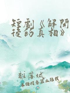 短剧《解开谎言后的真相》剧情介绍