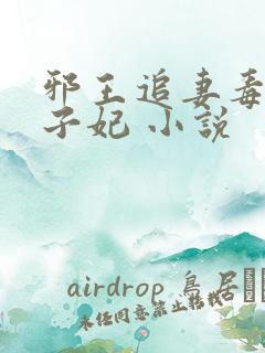 邪王追妻毒医世子妃 小说