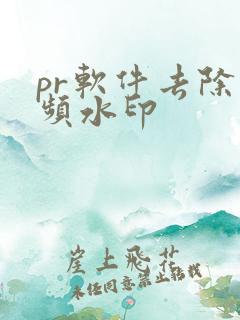 pr软件去除视频水印