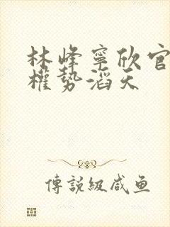 林峰宁欣官道之权势滔天