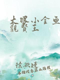 大眼小金鱼 贞观贤王