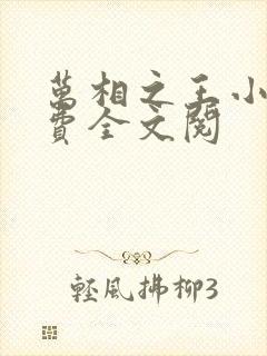 万相之王小说免费全文阅