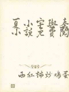 夏小宇与秦子墨小说免费阅读